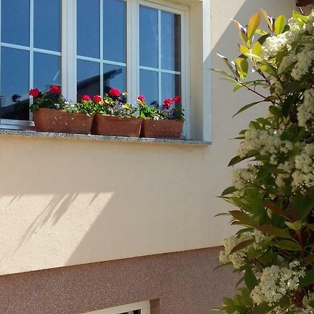 ביילובאר Apartments Place4You מראה חיצוני תמונה