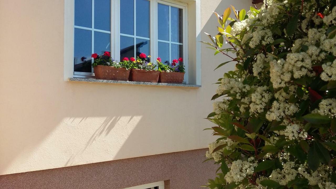 ביילובאר Apartments Place4You מראה חיצוני תמונה